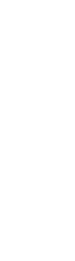 希少椿 椿心 佐藤椿園 小さな苗木から古木にいたるまで様々な品種を取り扱っております