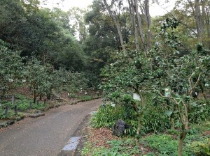 東山植物園①